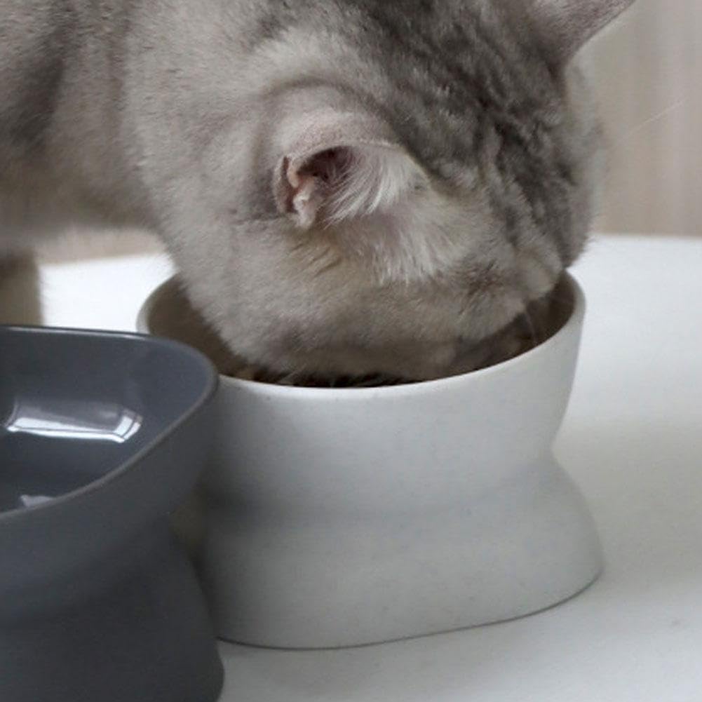 Elevated Ceramic Cat Food Bowl, Tilted & Whisker-Friendly for Indoor Cats