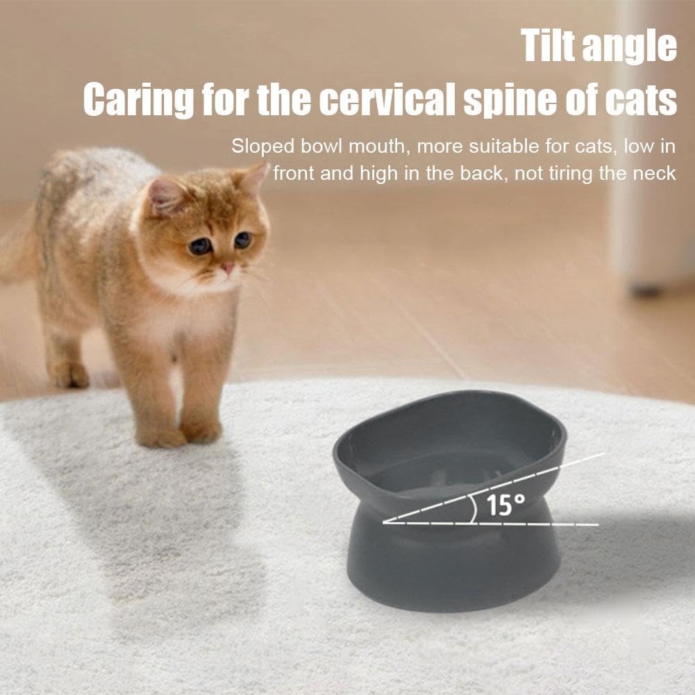 Elevated Ceramic Cat Food Bowl, Tilted & Whisker-Friendly for Indoor Cats