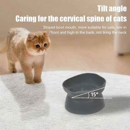 Elevated Ceramic Cat Food Bowl, Tilted & Whisker-Friendly for Indoor Cats